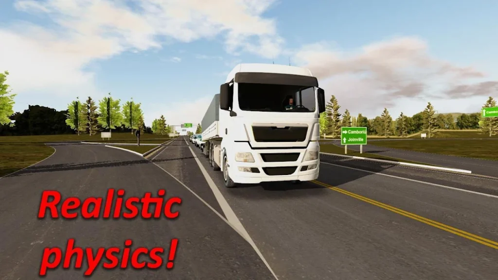 Heavy Truck Driver 2024